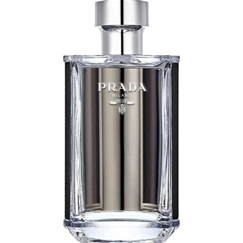 l.homme prada|Prada l'homme reviews.